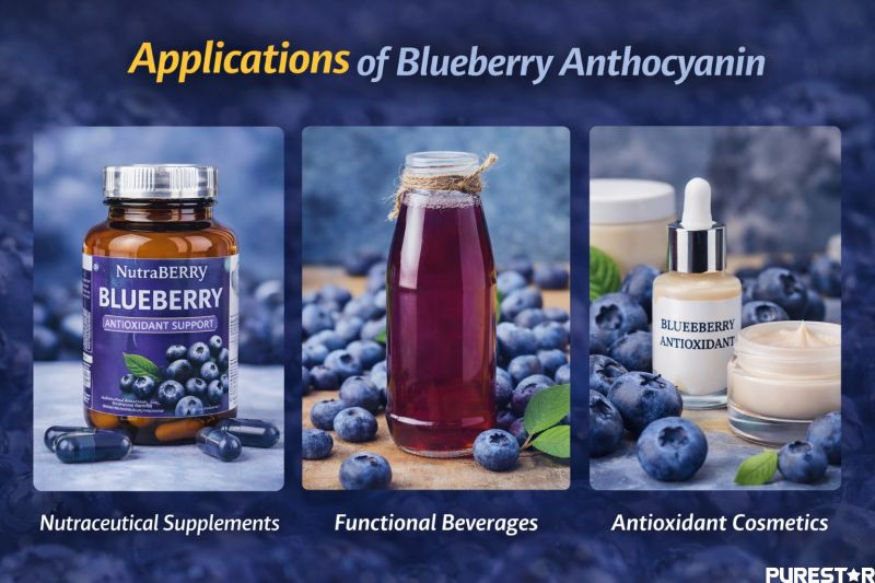 Applications of blueberry anthocyanin in nutraceutical supplements, functional beverages and antioxidant skincare formulations