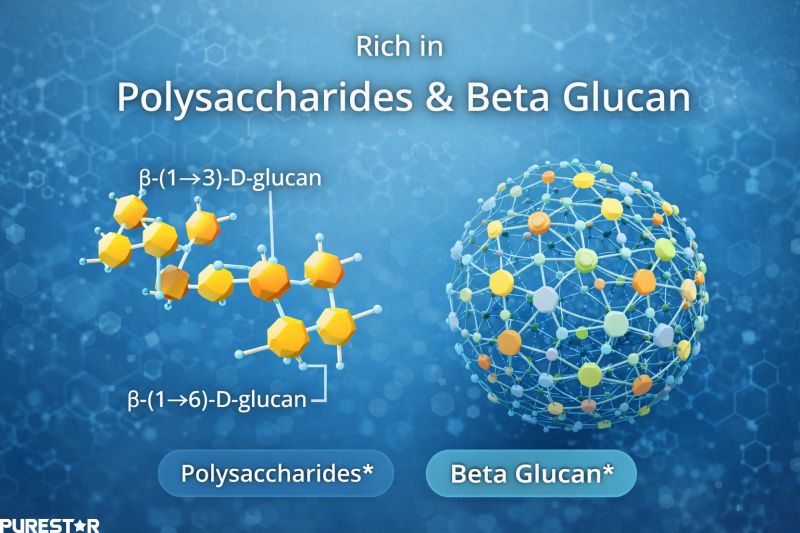 Polysaccharides and beta glucan structure in agaricus blazei extract highlighting key functional mushroom compounds