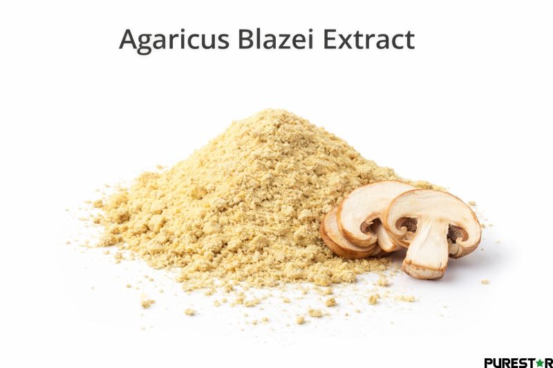 Light yellow agaricus blazei extract powder with fine texture used as bulk functional mushroom ingredient