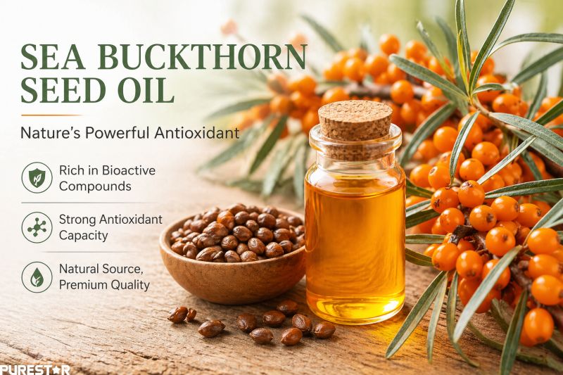 Sea buckthorn berries and seeds with sea buckthorn seed oil showing natural plant source rich in antioxidants