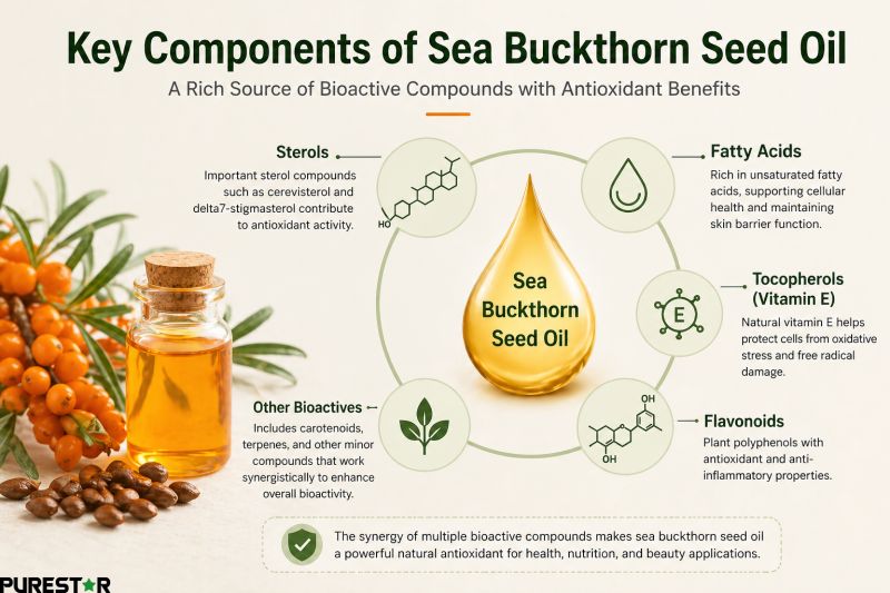 Key components of sea buckthorn seed oil including sterols fatty acids tocopherols and bioactive compounds