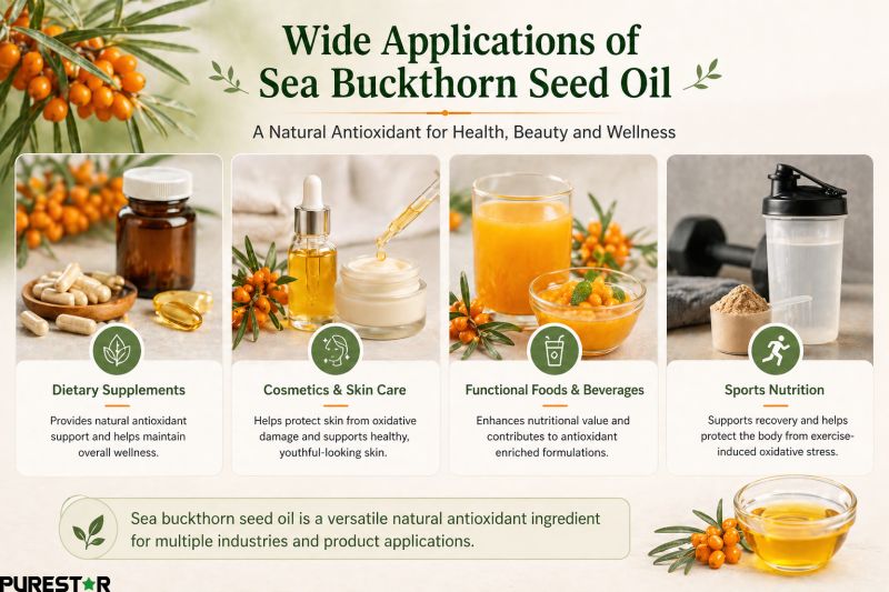 Applications of sea buckthorn seed oil in dietary supplements skincare functional foods and sports nutrition