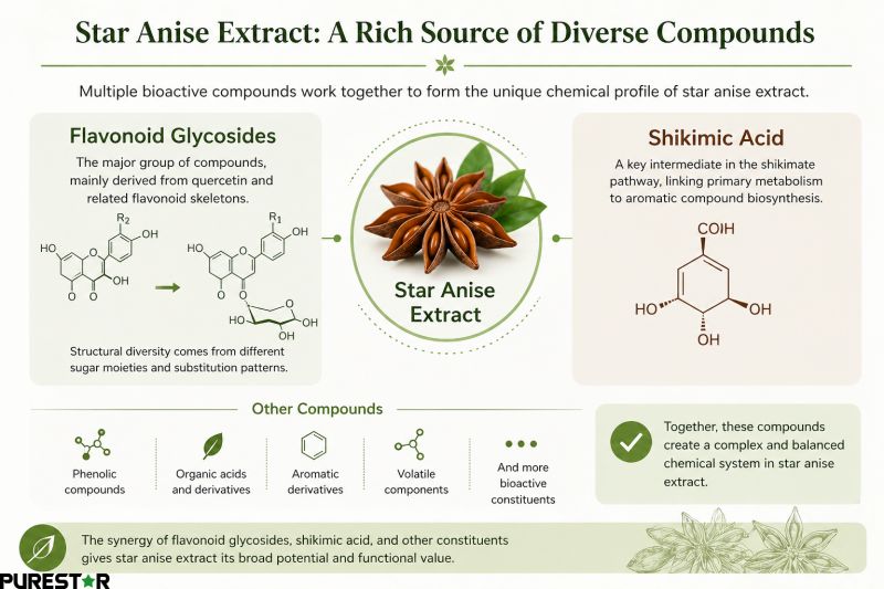 Chemical composition of star anise extract showing flavonoid glycosides and shikimic acid as key bioactive components