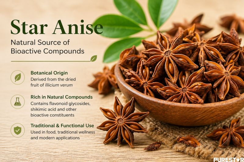 Star anise dried fruit (Illicium verum) as a natural raw material source for star anise extract rich in bioactive compounds