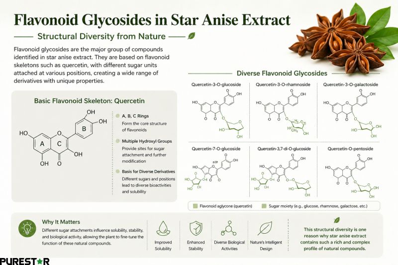 Flavonoid glycosides in star anise extract based on quercetin structure with diverse sugar moieties and derivatives