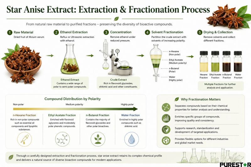 Extraction and fractionation process of star anise extract including ethanol extraction and solvent separation of compounds