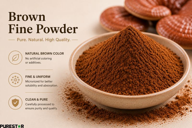 Brown fine reishi spore powder natural appearance high quality ganoderma lucidum spores