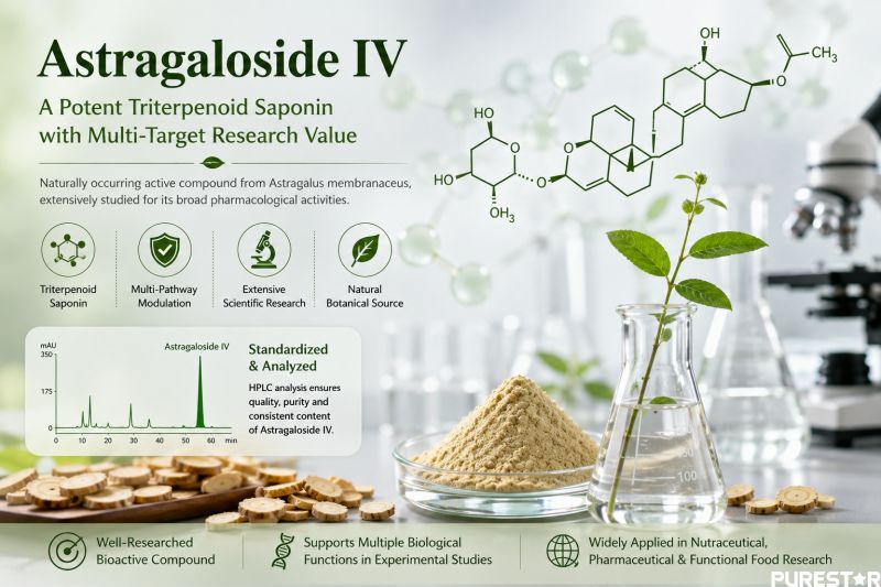 Astragaloside IV molecular structure and laboratory research infographic with triterpenoid saponin scientific analysis concept