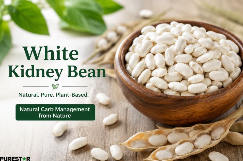 White kidney bean raw material with natural white beans in wooden bowl for carbohydrate management and weight loss support ingredient applications