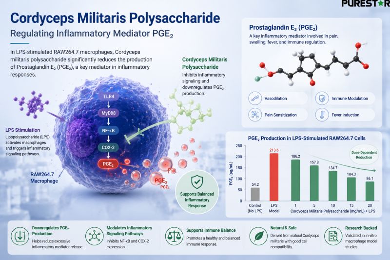 Cordyceps Militaris Polysaccharide regulating inflammatory mediators including PGE2 TNF alpha and IL 6