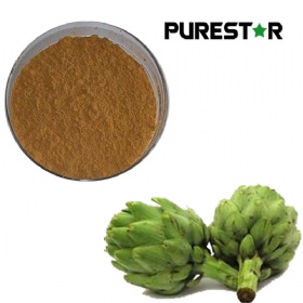 Artichoke Extract, Cynarin