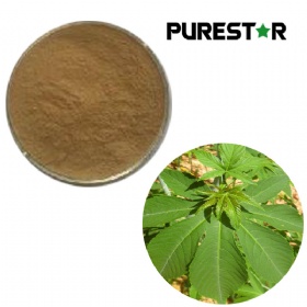 Sweet Tea Extract, Rubusoside