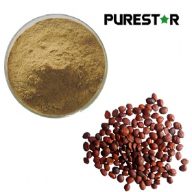 Spine Date Seed Extract