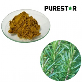 Rosemary Extract, Rosmarinic Acid