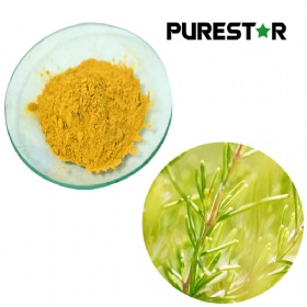 Rosemary Extract, Ursolic Acid