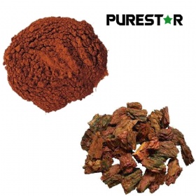 Pine Bark Extract OPC