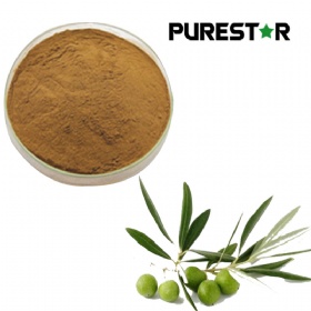 Olive Leaf Extract