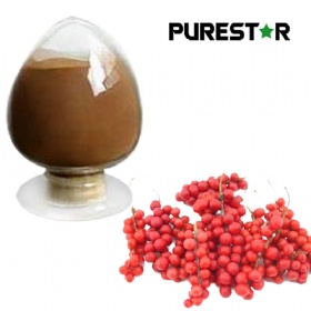Schisandra Chinensis Extract, Schisandrins