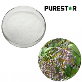 Ligustrum lucidum fruit Extract, Oleanolic acid