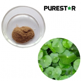 Gotu Kola Extract