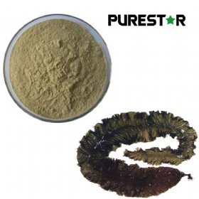 Brown Seaweed extract, Fucoidan