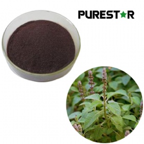 Coleus Forskohlii Extract, Forskolin