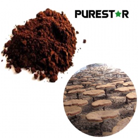 Ganoderma lucidum spore powder