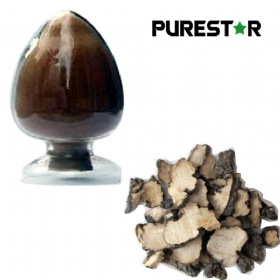 Polyporus umbellatus extract