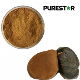 Phellinus Igniarius Extract