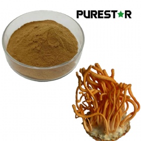 Cordyceps Sinensis Extract