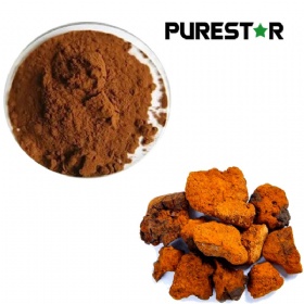 Chaga Extract