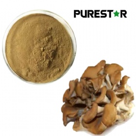 Maitake Extract