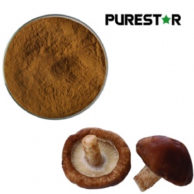 Shitake Mushroom Extract