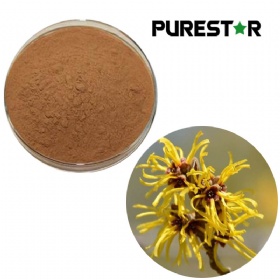 Witch Hazel Extract