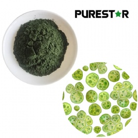 Chlorella powder