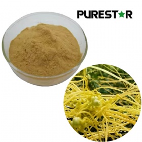 Chinese Dodder Seed Extract