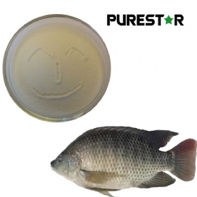 Collagen Peptide