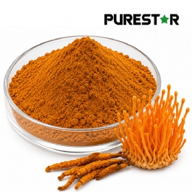 Cordyceps Militaris Extract