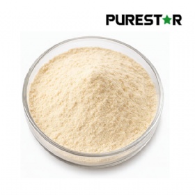 Yeast Protein
