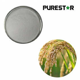 Rice Bran Wax Extract – Octacosanol & Policosanol Powder