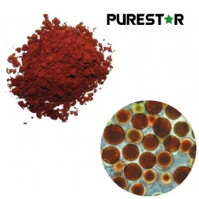 Haematococcus Pluvialis Extract, Natural Astaxanthin