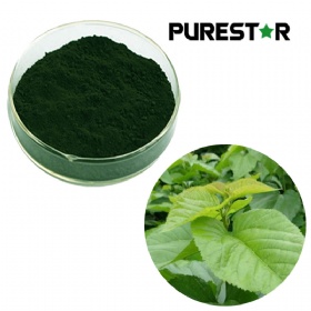 Sodium Copper Chlorophyllin