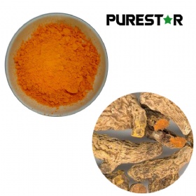 Turmeric Root Extract, Curcumin