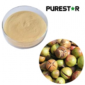 Camellia Oleifera Seed Extract, Tea Saponin