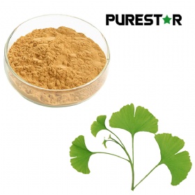 Ginkgo Biloba Extract