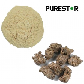 Radix Notoginseng Extract, Notoginsenosides