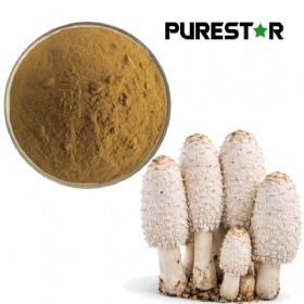 Coprinus comatus extract
